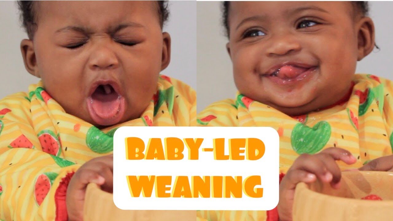 STARTING FINGER FOODS FOR 4 6 MONTH OLD BABIES WITH NO TEETH YouTube