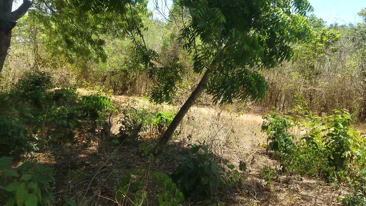 Video of 0.25 acre Land for sale in Diani Kosovo area near Forest Dream