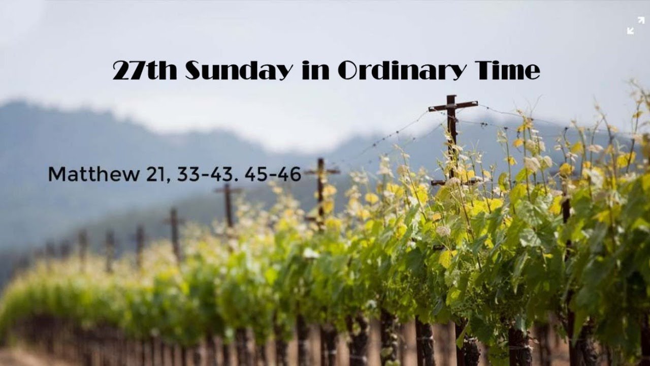 27th Sunday in Ordinary Time YouTube