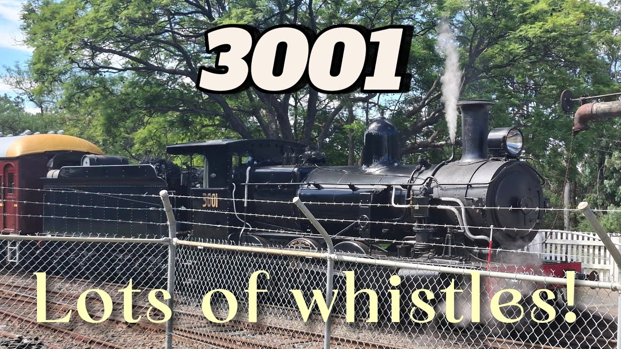 3001 steam train rides at NSW Railway Museum - YouTube