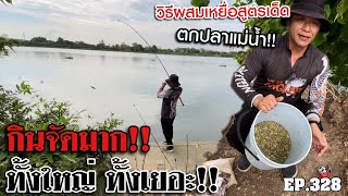 🎣🐠We are Angler EP:328 “กินจัดมาก ทั้งใหญ่ ทั้งเยอะ สอนวิธีผสมเหยื่อตกปลาสูตรเด็ด!”|แม่น้ำเจ้าพระยา