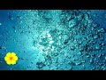 Underwater REAL Bubble Sounds - Water Bubbles - Underwater Sounds Ambience to Relax White Noise