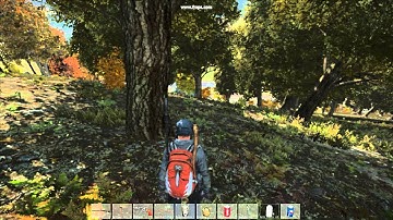 How to have two weapons in DayZ at once