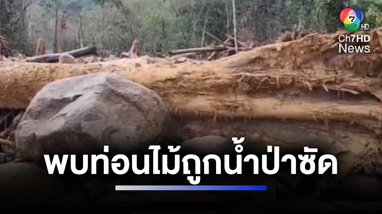 พบอีก ! ไม้ท่อนจำนวนมาก ถูกน้ำป่าซัดจากเขาเมาะแต จ.นราธิวาส | ห้องข่าวภาคเที่ยง