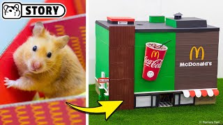 Hamster McDonalds Maze in real life 🍔 Homura Ham