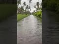 Manzanilla flooding
