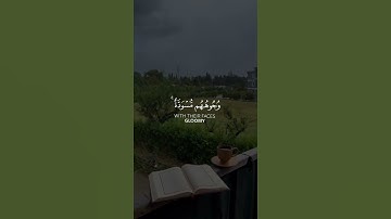 و يوم القيامة ترى الذين كذبوا #القرآن الكريم #quran #سمير عزت #راحة نفسية #تلاوات #آيات #تجويد
