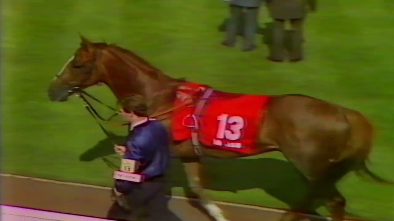 1986 Matchmaker International - York - Extended Coverage