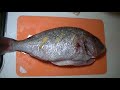 참돔찜! (feat. 우럭회) Steamed Red Seabream (feat. Dark Rockfish Sashimi)