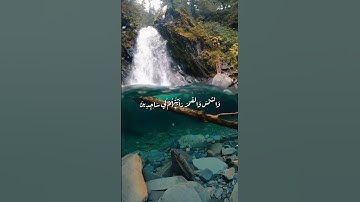 واتس اب قران كريم القارئ عمر الدريويز من سورة (يوسف)