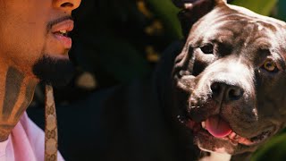 Md Chefe  Intro Baby Chefe