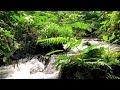 Flowing Water Sounds for Better Sleep in the Evening – Calm Your Mind