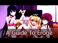 A guide to eroge