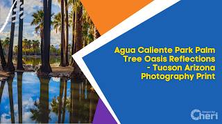 Agua Caliente Park Palm Tree Oasis Reflections - Tucson Arizona Photography Print