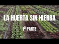 La Huerta Sin "Malas" Hierbas | 1ª parte