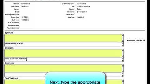 Image Suite V4 Veterinary create report vet