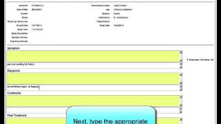 Image Suite V4 Veterinary create report vet