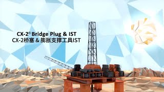 CX-2桥塞 | 膨胀支撑工具 | CX-2 Bridge Plug | Inflation Support Tool | IST | Coretrax