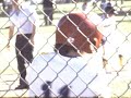 Home Movie Taber Little League Allstars