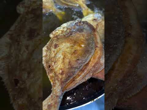 سمك زبيدي مقلي 