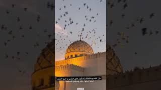 ﴿إنّ اللهَ وملائكتَهُ يُصَـلُّونَ على النبي يا أيها الذين آمنوا صَلُّوا عليه وسلِّمُوا تسليما﴾