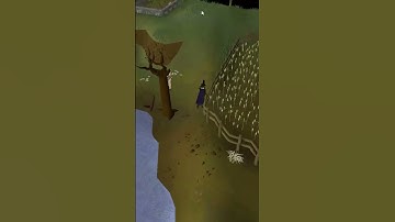 Fastest route from Lumbridge to Grand Exchange