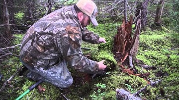 Mink box with natural material