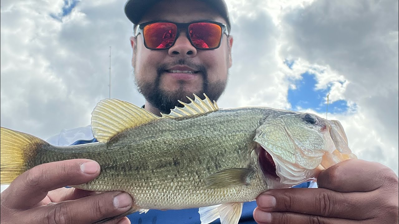 EPIC Bass fishing at Lake b in Buena Vista park (Bakersfield, CA