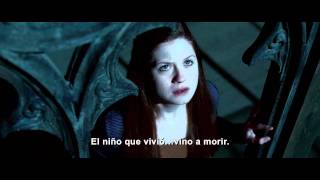 Harry Potter y las reliquias de la muerte - Parte 2