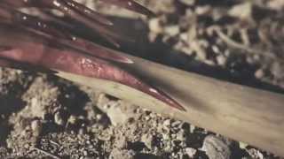 The valley of dry bones Ezekiel 37