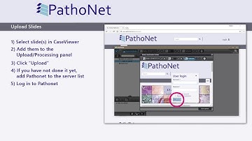 3DHISTECH - PathoNet Tutorial 03: How to Upload Slides