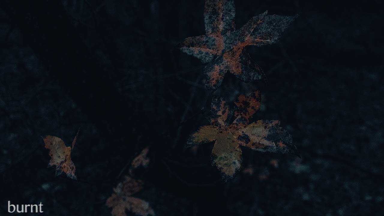 Watch Asher Fleming - burnt (Visualizer) on YouTube Watch Asher Fleming - burnt (Visualizer) on YouTube