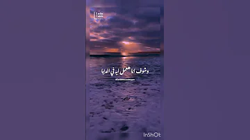 روح قلبي تامر حسني 