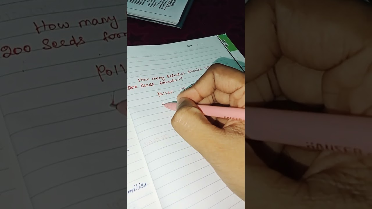 HOW MANY MEIOSIS CELL DIVISIONS NEED TO FORM 200 SEEDS? NEET BIOLOGY(BOTANY) Q.NO 1( REPRODUCTION)