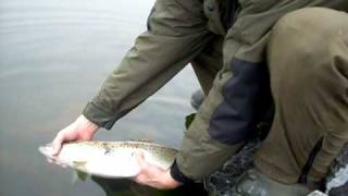 Pike Attack Trout