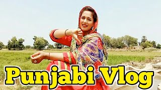 Bada Hi Khoobsurat Punjabi Gaon Hai