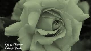 Arms of Heaven - Aakash Gandhi | 1 Hour