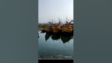 History of Vizag fishing harbour..❤️#vizag #cityofdestiny #fishing