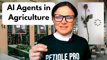 AI Agents in Agriculture: The Basics & A Practical QC Workflow from Floriculture (Step-by-Step)