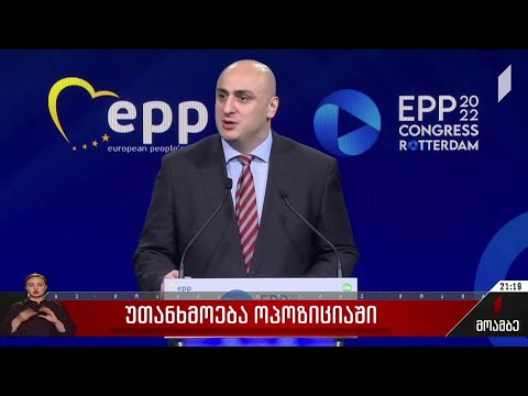 უთანხმოება ოპოზიციაში