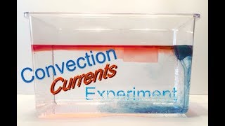 Convection Currents with Ice Cubes Experiment (Convection currents demonstration and experiments)