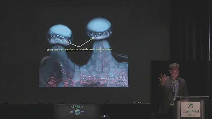 Using Genomics to Unlock the Full Potential of Cannabis - Jonathan Page, Ph.D.