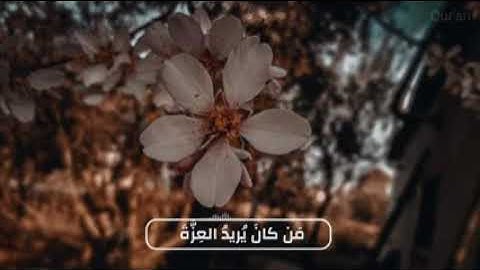 اجمل حالات واتس اب /الشيخ عبد الباسط عبد الصمد {قران كريم} ✨🤲🏻