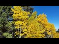 TREE SPRING HIKE, SANDIA (PEAK) MOUNTAINS, NM