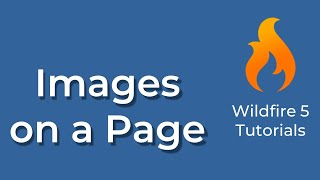 Wildfire 5 | Adding Content: Image on a Page
