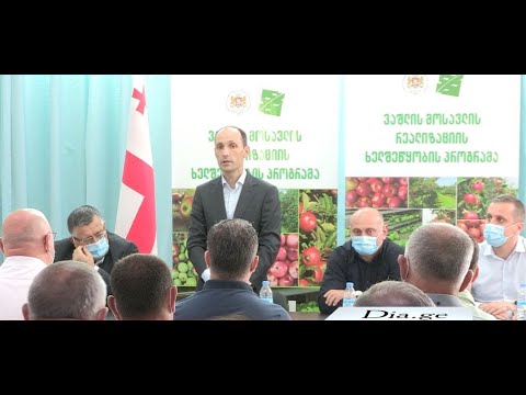 გორში არასტანდარტული ვაშლის რეალიზაციის ხელშეწყობის მიზნით საკოორდინაციო შტაბი გაიხსნა 8.09.2020
