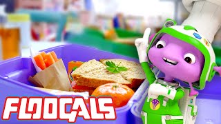 How to Pack a HEALTHY SANDWICH FOR LUNCH! | Floogals | Universal Kids