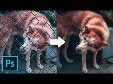 Remove Fence with 3 Simple Steps in Photoshop!