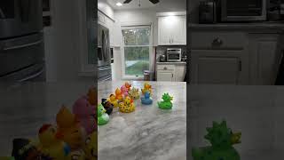 Opening Pokemon Cards! Duck Raceeeee #shorts