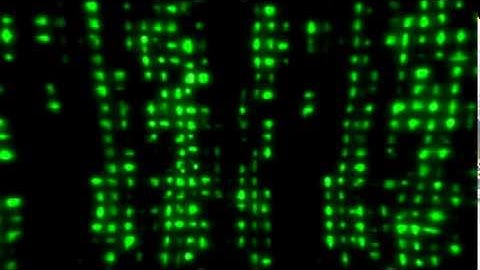 FREE VJ LOOPS / Green Code // 20  VJ LOOPS // Matrix video backgrounds